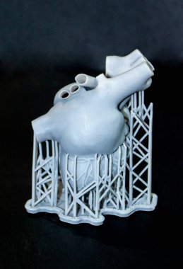 3 boyutlu insan kalbi prototipi. Yakın plan. Nesne fotopolymer