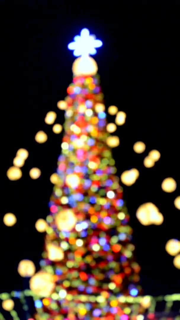 Πρωτοχρονιάτικο Χριστουγεννιάτικο Δέντρο Διακοσμημένο Φωτεινές Πολύχρωμες Γιρλάντες Και Φωτισμό Νύχτα — Αρχείο Βίντεο