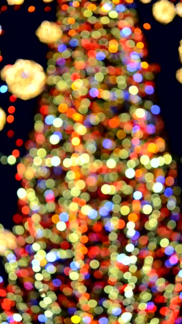 新年のクリスマスツリーは 明るい多色のガーランドと夜の照明で飾られています 明かりが点滅するクリスマスツリー 背景がぼやけている 新年のクリスマス休暇 垂直ビデオ — ストック動画