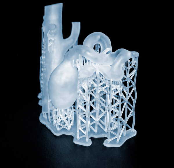 3D printed human heart prototype close-up. Object photopolymer printed on stereolithography 3D printer. Technology of liquid photopolymerization under UV light. New 3D printing technology for medicine