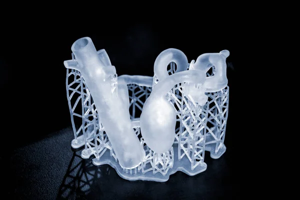 3D打印人类心脏原型特写 用立体平板3D打印机打印的对象光聚合物 紫外光下液体光合作用技术 医学3D打印新技术 — 图库照片