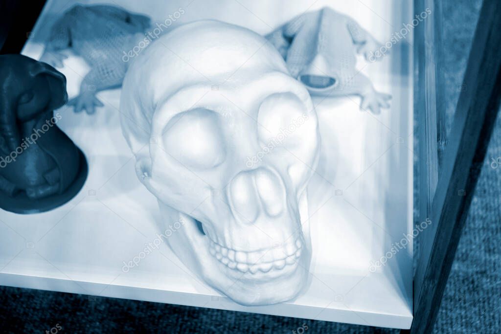 Model human skull prototypes printed on 3D printer from plastic. New progressive additive modern 3D printing technology. Three-dimensional object created by high-precision 3D printing technologies