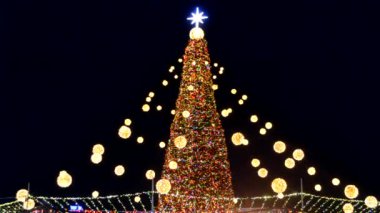 Güzel Noel ağacı ve Yeni Yıl ağacı gece üzerinde çok renkli çelenkler, ışıklar ve mavi yıldızlar süsledi. Yanıp sönen ışıkları olan Noel ağacı. Yılbaşı ve Noel tatili