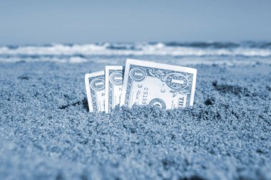 Kağıt, deniz manzaralı kumsalda gömülü bir dolarlık banknot. Güneşli bir yaz gününde kumdaki bir dolarlık nakit banknotlar. Para finans konsepti. Mavi renk