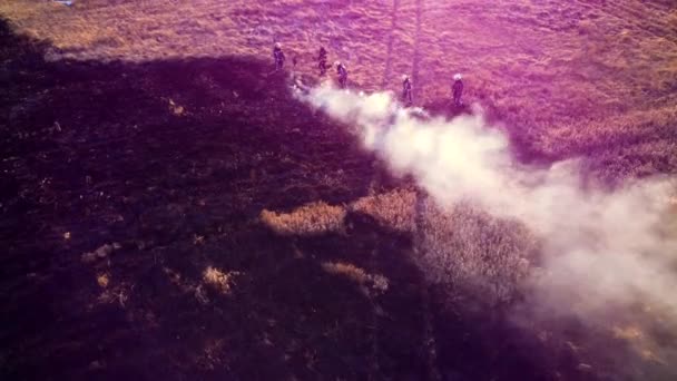Ομάδα Πυροσβεστών Σβήνει Φωτιά Λόγω Της Καύσης Του Ξηρού Χόρτου — Αρχείο Βίντεο