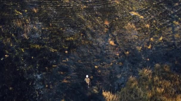 Tűzoltó Átrohan Perzselt Fekete Hamu Mezőn Hogy Eloltsa Lángtüzet Kilátás — Stock videók
