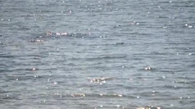 Deniz, beyaz güneş yansımaları ve sıcak güneşli yaz gününde mavi dalgalar. Deniz kıyısında güneş yüzey suyunda parlar. Güzel soyut doğal arka plan. Kusursuz Döngü.