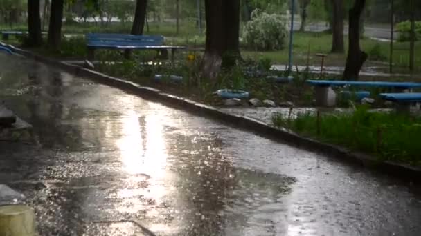 Heavy Downpour Rain Falling City Sun Shining Summer Day Its — Stockvideo