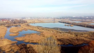 Aerial drone view flight over artificially created lakes for breeding fish in city on sunny autumn day. Industrial fish farming, fisheries. Swamps and lake overgrown with dry reeds. Natural background