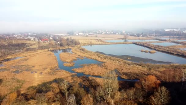 Aerial Drone View Flight Artificially Created Lakes Breeding Fish City — Video