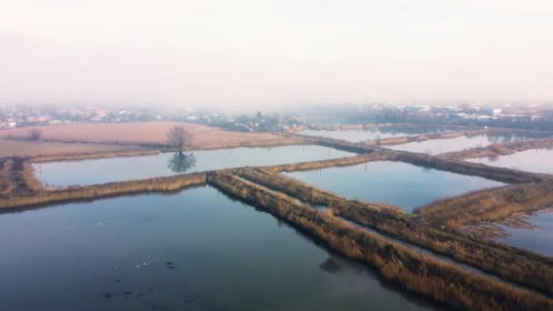 Aerial Drone View Flight Artificially Created Lakes Breeding Fish Fog — Vídeo de Stock