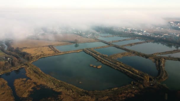 Aerial Drone View Flight Artificially Created Lakes Breeding Fish Fog — Vídeos de Stock