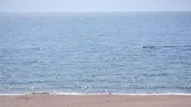 Geçmişi. Deniz, deniz dalgaları, kumlu sahil, gökyüzü, güneşli yaz günlerinde deniz suyunda beyaz güneş parlayan noktalar. Vahşi yaşam deniz manzarası, doğa, deniz kıyısı, deniz kıyısı. Yaz soyut doğal arka plan