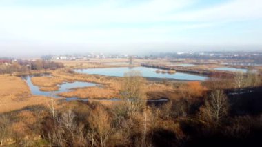 Aerial drone view flight over artificially created lakes for breeding fish in city on sunny autumn day. Industrial fish farming, fisheries. Swamps and lake overgrown with dry reeds. Natural background