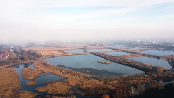 Aerial Drone View Flight Artificially Created Lakes Breeding Fish Fog — Vídeo de stock