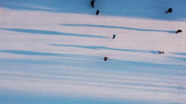 People skating on an open-air ice skating rink in the city in the evening during sunset in winter. Top view. People skating on ice rink. Long shadows of people on surface of ice. View from above