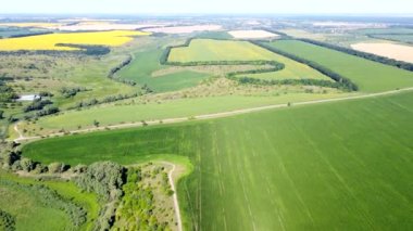 View of a variety of agro-industrial fields with different agricultural plants on sunny summer day. Top view. Countryside. Fields with green vegetation, trees, grass. Village rustic. Aerial drone view
