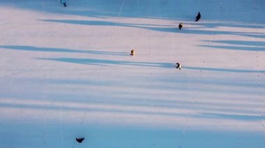 People skating on an open-air ice skating rink in the city in the evening during sunset in winter. Top view. People skating on ice rink. Long shadows of people on surface of ice. View from above