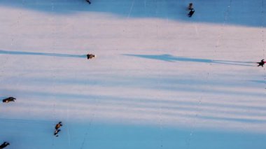 People skating on an open-air ice skating rink in the city in the evening during sunset in winter. Top view. People skating on ice rink. Long shadows of people on surface of ice. View from above