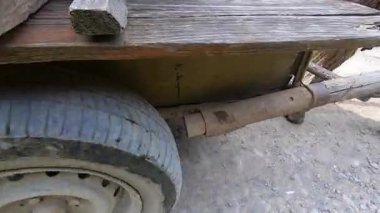 A horse pulls a wooden cart wagon along a dirt road on a sunny summer day close-up. Bottom view