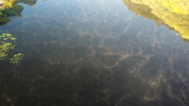 Aerial drone view flying over the river with calm reflective water surface and white fog mist and forest trees on the banks of the river on a sunny early autumn morning. Beautiful natural background.