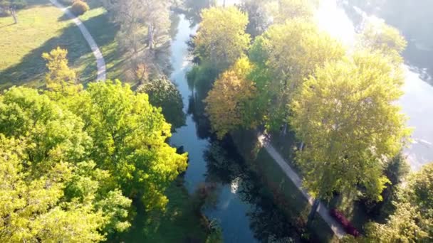 Flying View Trees Yellow Green Leaves Lake Meadow Dirt Paths — Stockvideo