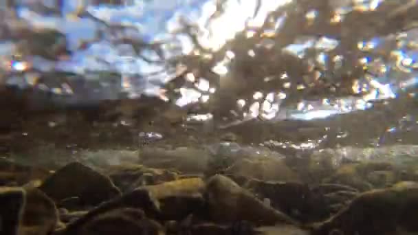 Flow Water Mountain River View Flowing Water Mud Covered Rocks — Video