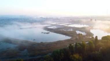 Aerial drone view flight over lakes and fog above them on early summer morning. Many artificially created dug lakes for growing fish farming at dawn. Fish industry. Beautiful aerial summer landscape