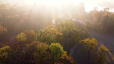 Aerial flying over trees with yellow leaves, a lake and architecture on an autumn sunny morning in a park. Bright sunlight, shining sunbeams rays and sun overexposure. Beautiful natural background.