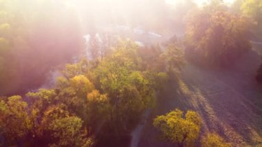 Aerial flying over trees with yellow leaves, a lake and architecture on an autumn sunny morning in a park. Bright sunlight, shining sunbeams rays and sun overexposure. Beautiful natural background.