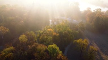 Aerial flying over trees with yellow leaves, lake and architecture on autumn sunny morning in park. Bright sunlight, shining sunbeams rays and sun overexposure. Beautiful natural background. Rises up