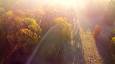 Aerial flying over trees with yellow leaves, meadow, dirt road with morning mist an autumn sunny morning in park. Bright sunlight, shining sunbeams rays, sun overexposure. Beautiful natural background