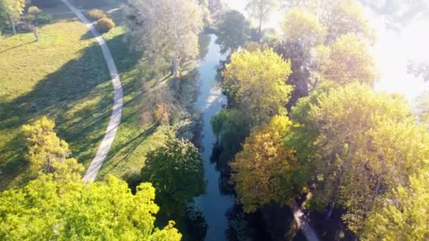 Flying View Trees Yellow Green Leaves Lake Meadow Dirt Paths — Vídeo de Stock