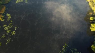 Aerial drone view flying over the river with calm reflective water surface and white fog mist and forest trees on the banks of the river on a sunny early autumn morning. Beautiful natural background.