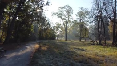 Mother and child walking in the autumn park on sunny morning. Father and child walk along dirt path in the fall park in the early morning. People walking along the path in the park. Aerial drone view
