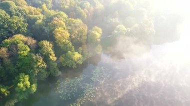 Aerial drone view flying over river with morning mist, trees with yellow and green leaves on bank of river in park on sunny autumn summer morning. Bright sunlight. Beautiful natural background.