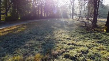 Aerial drone view over a meadow with grass with hoarfrost in park on a sunny autumn morning. The sun shines through the branches of trees. Autumn, fall season. Sunbeams. Beautiful natural background