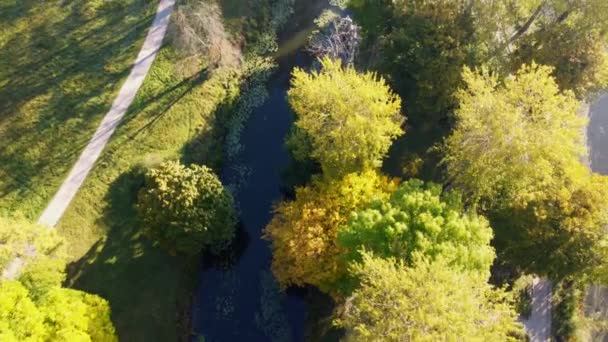 Літаючі Над Деревами Жовтим Зеленим Листям Озером Лугом Брудними Доріжками — стокове відео