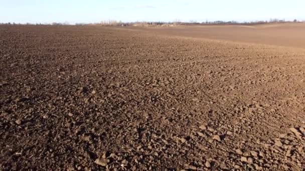 Flying Plowed Fields Black Soil Sunny Autumn Day Fields Black — Stockvideo