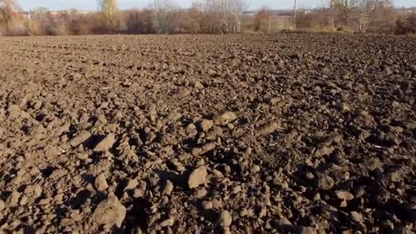 Flying Plowed Fields Black Soil Sunny Autumn Day Fields Black — стоковое видео