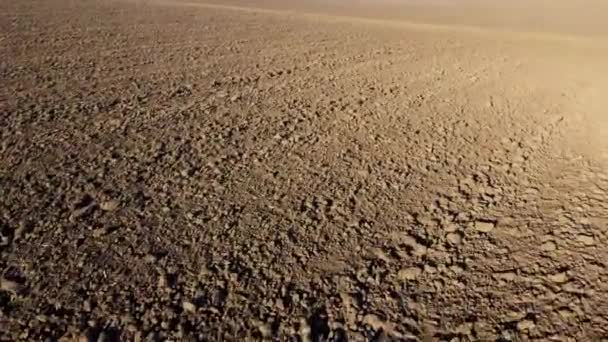 Flying Plowed Fields Black Soil Sunny Autumn Day Fields Black — Αρχείο Βίντεο