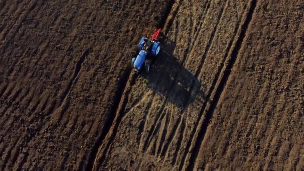 Man Tractor Digging Ground Tractor Driver Plowing Field Worker Blue — Vídeos de Stock