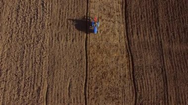 A man on tractor digging the ground. Tractor driver plowing the field. A worker on blue tractor digs up the brown earth. Aerial drone view. Top view. Farming countryside rural. Agrarian. Agricultural