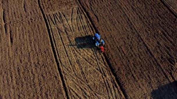 Man Tractor Digging Ground Tractor Driver Plowing Field Worker Blue — Αρχείο Βίντεο