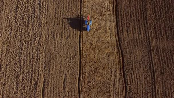 Man Tractor Digging Ground Tractor Driver Plowing Field Worker Blue — Stockvideo