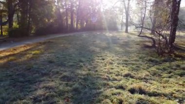 Aerial drone view over a meadow with grass with hoarfrost in park on a sunny autumn morning. The sun shines through the branches of trees. Autumn, fall season. Sunbeams. Beautiful natural background