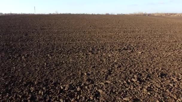 Flying Plowed Fields Black Soil Sunny Autumn Day Fields Black — Vídeo de Stock