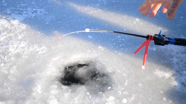 冬の釣りのクローズ アップ 冬の川の氷の穴で男の釣りは — ストック動画