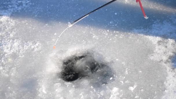 Pesca Invernale Primo Piano Uomo Sta Pescando Una Buca Ghiaccio — Video Stock