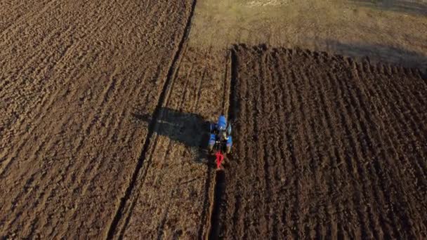 Man Tractor Digging Ground Tractor Driver Plowing Field Worker Blue — ストック動画